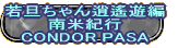 若旦ちゃん逍遙遊編 南米紀行 CONDOR PASA