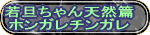 若旦ちゃん天然篇 ホンガレチンガレ 